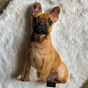 Envogue Frenchie Bulldog Puppy Dog  Decorative Pillow Smooth Double Sided